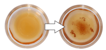 nosh(ノッシュ)使用前後の比較