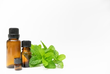 ペパーミントとガラスボトル