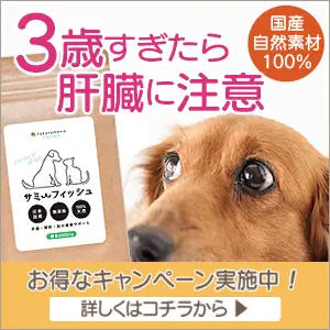 サミーフィッシュのバナー