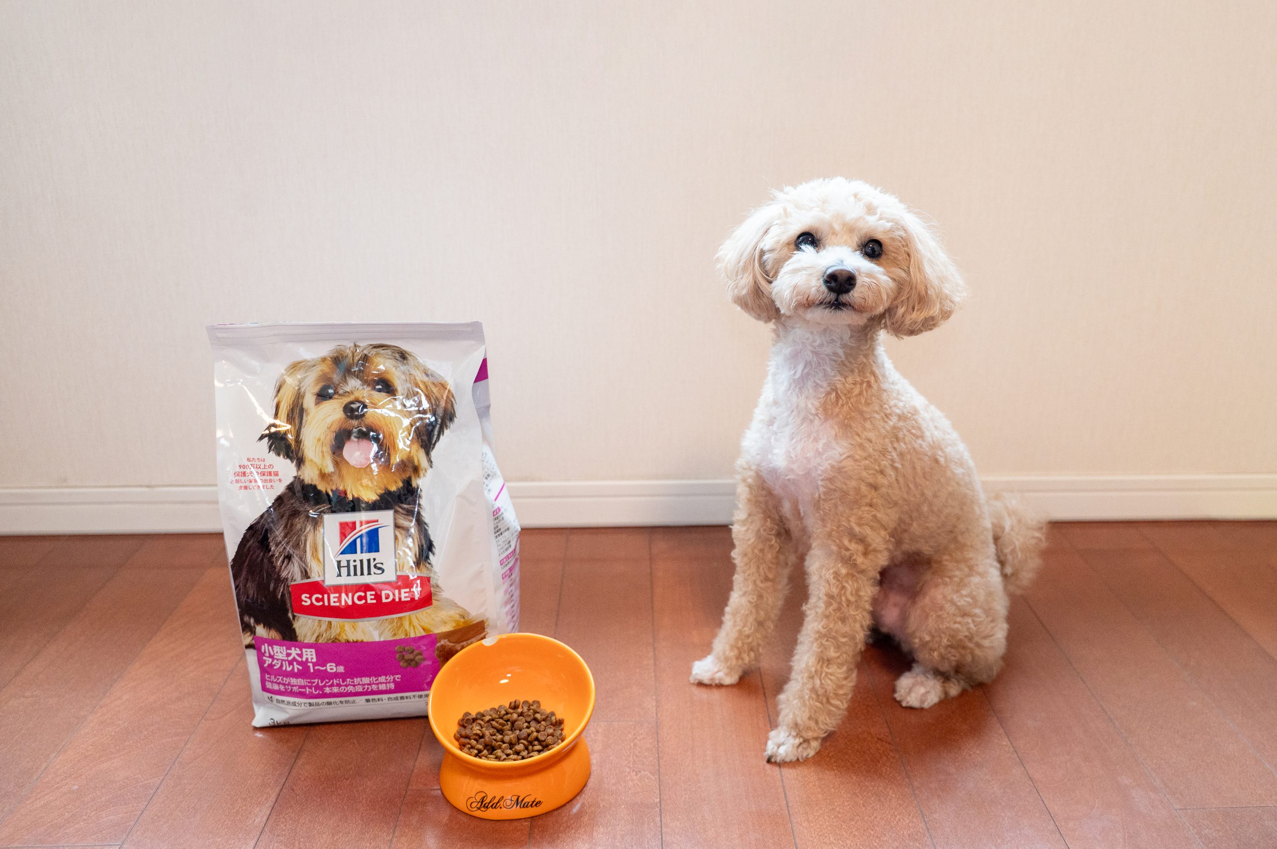 サイエンスダイエットと犬とフード